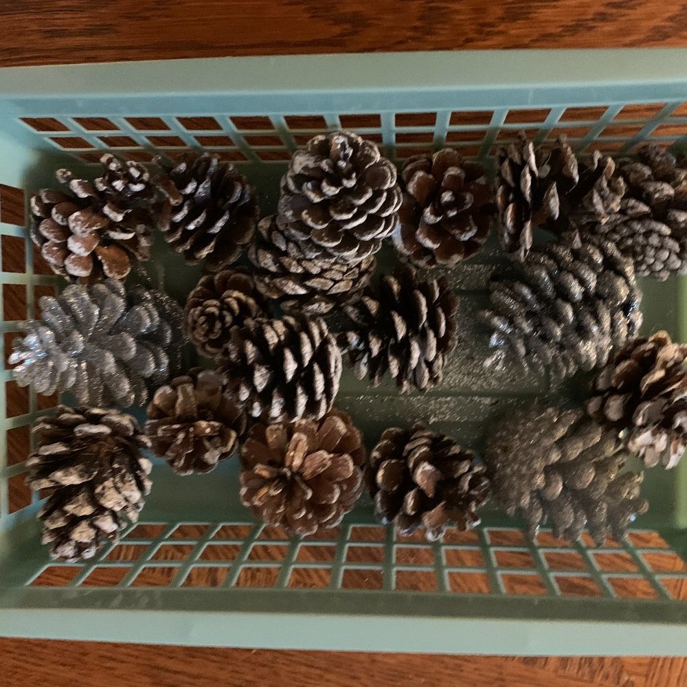 18 Small pinecones